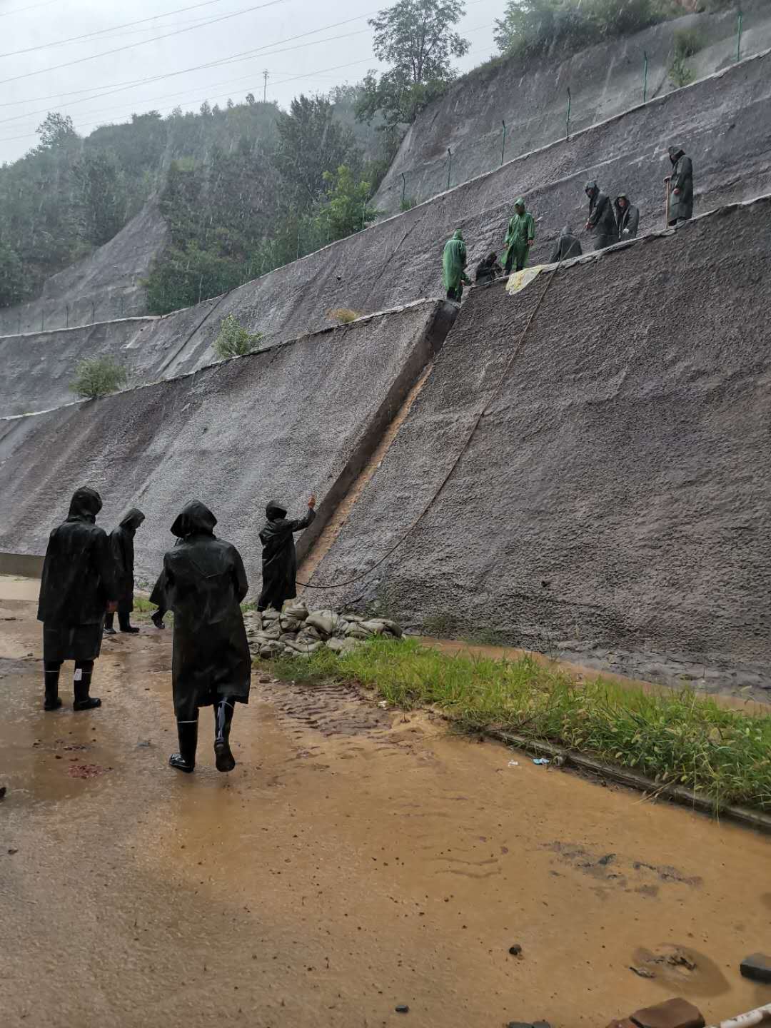 英超联赛直播入口