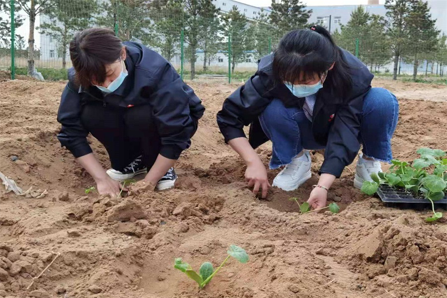 英超联赛直播入口