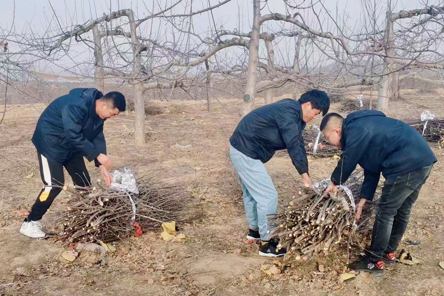 英超联赛直播入口